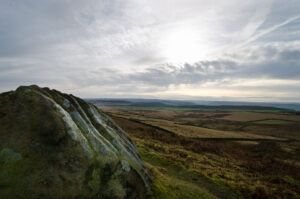 Moor