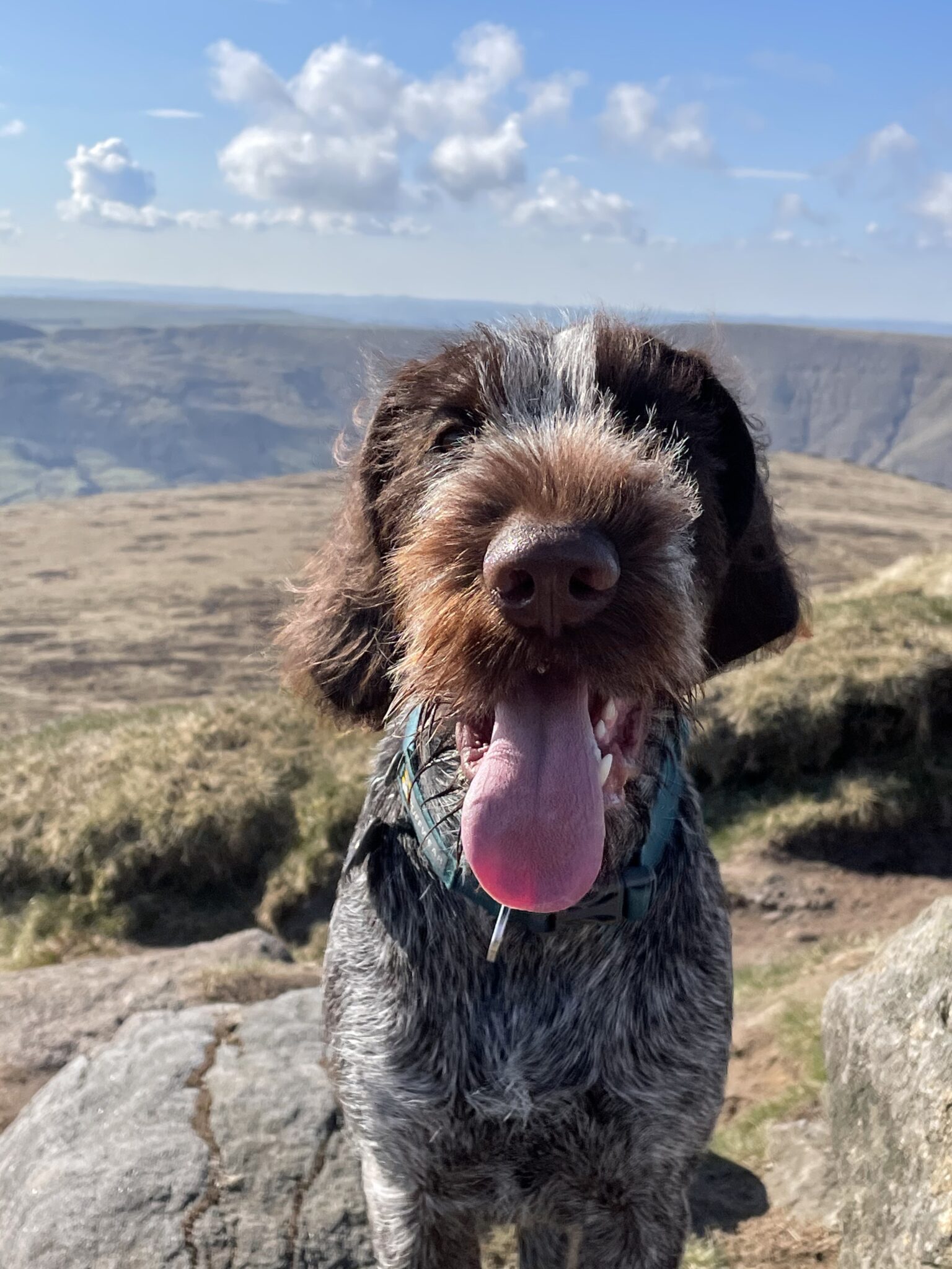 Kinder Scout (88) May 2021